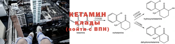 шишки Уссурийск