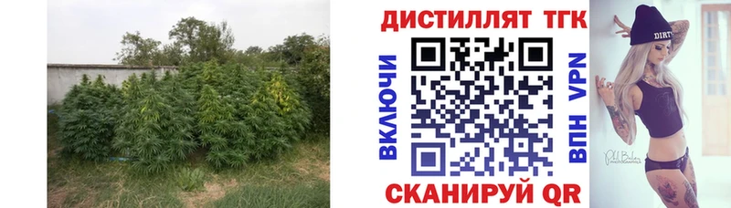наркошоп  Грязовец  Дистиллят ТГК вейп 